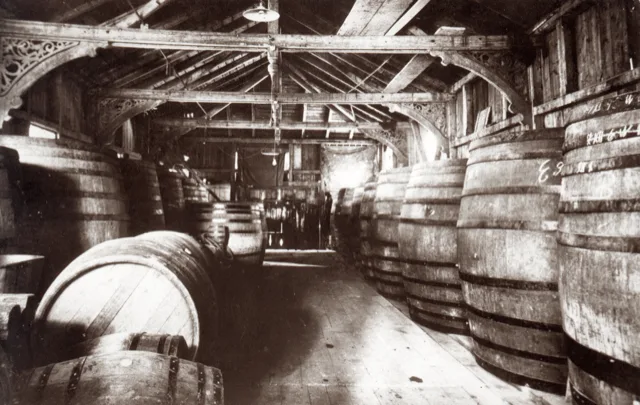 Wooden wine barrels in a historic cellar, early twentieth century