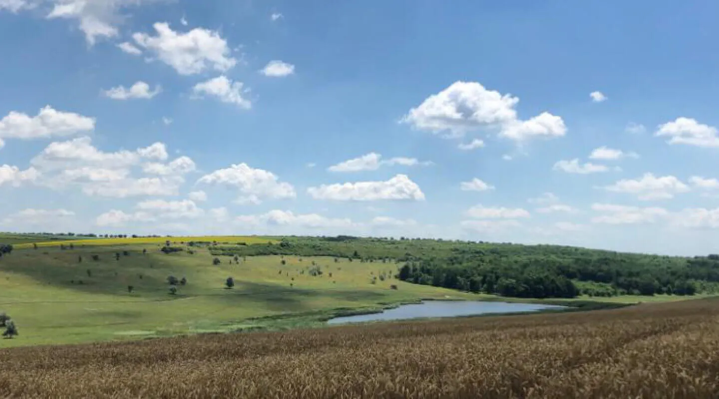 Rolling meadow, forest and a pond near the estate in Gherman